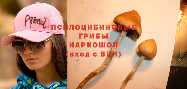 винт Балахна
