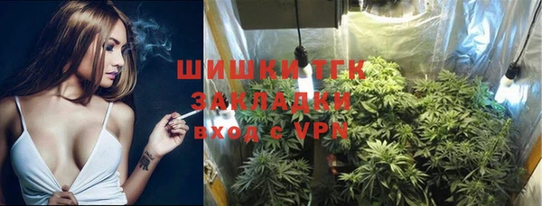 2c-b Белокуриха