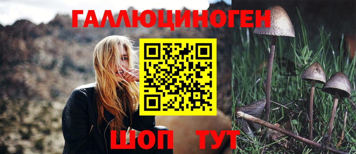 Псилоцибиновые грибы Psilocybe  Вход с VPN  Кунгур  Галлюциногенные грибы прущие грибы 