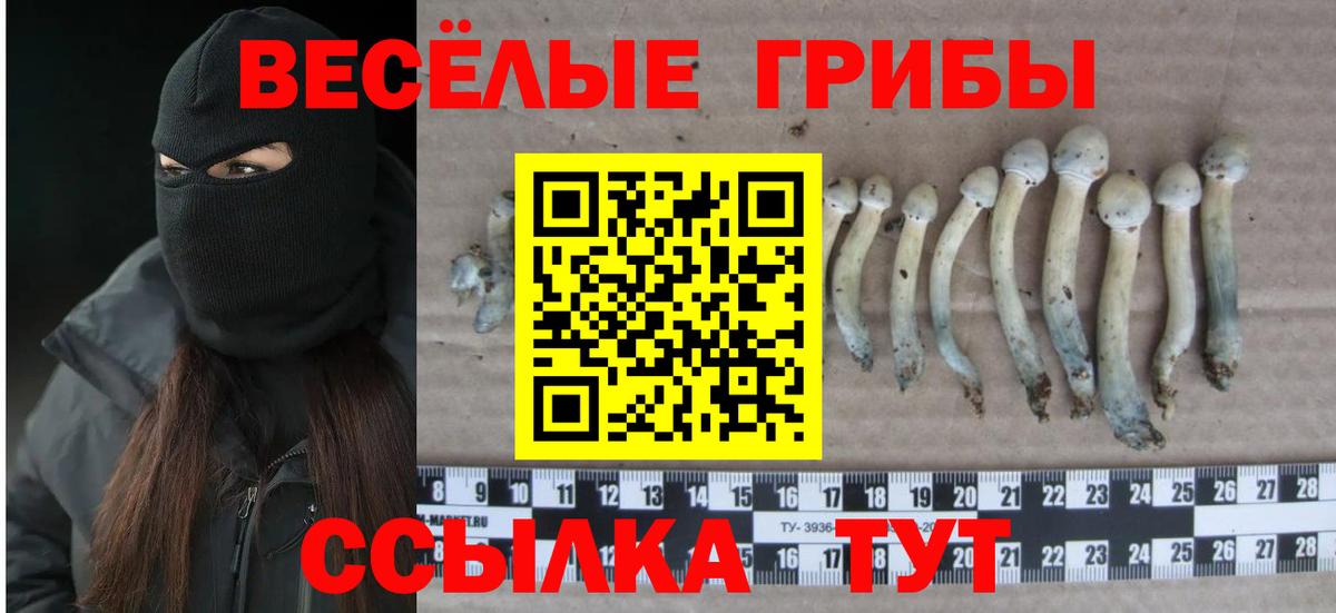 Псилоцибиновые грибы Magic Shrooms Кунгур